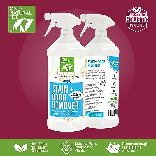 Natural Pet Odor Eliminator with Mandarin & Green Tea
