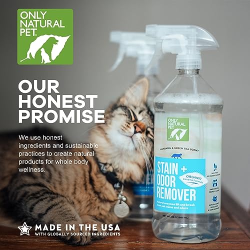 Natural Pet Odor Eliminator with Mandarin & Green Tea