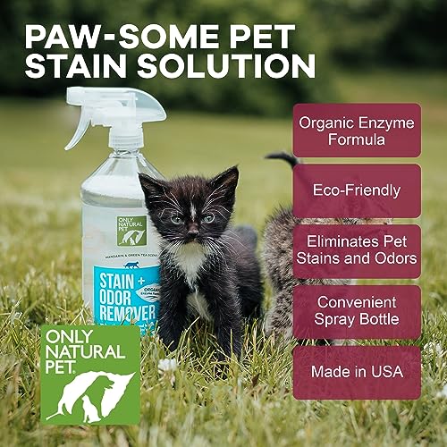 Natural Pet Odor Eliminator with Mandarin & Green Tea