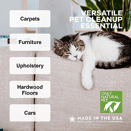 Natural Pet Odor Eliminator with Mandarin & Green Tea