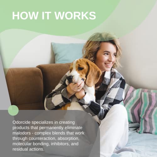 Odorcide Concentrate: Powerful Odor Eliminator for Upholstery