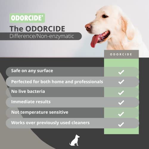 Odorcide Concentrate: Powerful Odor Eliminator for Upholstery