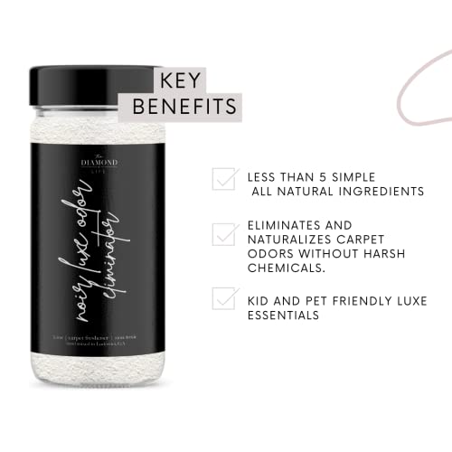 Noir Luxe Upholstery Deodorizer Bundle for Homes