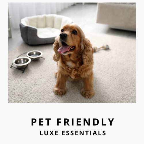 Noir Luxe Upholstery Deodorizer Bundle for Homes