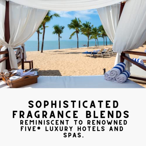 Noir Luxe Upholstery Deodorizer Bundle for Homes