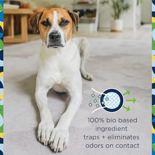 Citrus Carpet Deodorizer Powder - 16 Ounces