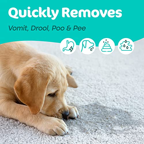 Sunny & Honey Pet Odor Eliminator Enzyme Cleaner