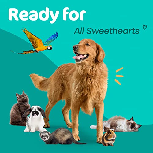 Sunny & Honey Pet Odor Eliminator Enzyme Cleaner