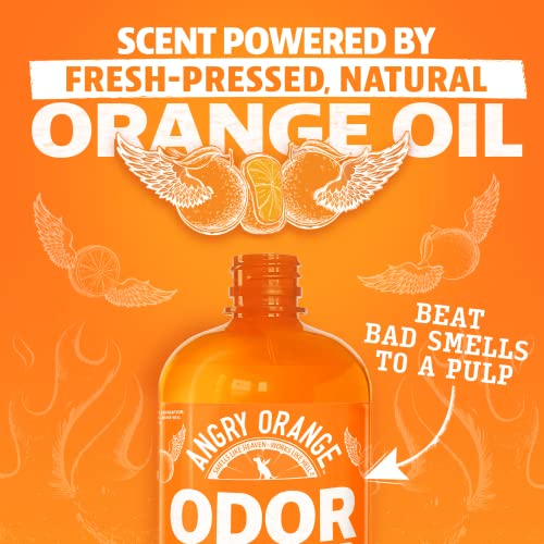 Angry Orange Pet Odor Eliminator - 8oz Concentrate