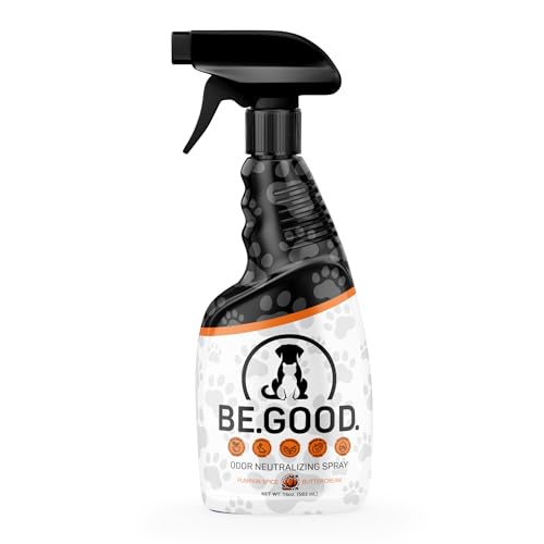 Pumpkin Spice Upholstery Odor Eliminator Spray 16oz