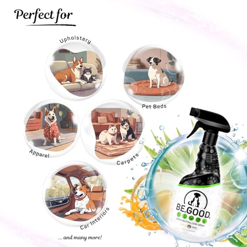 Pumpkin Spice Upholstery Odor Eliminator Spray 16oz