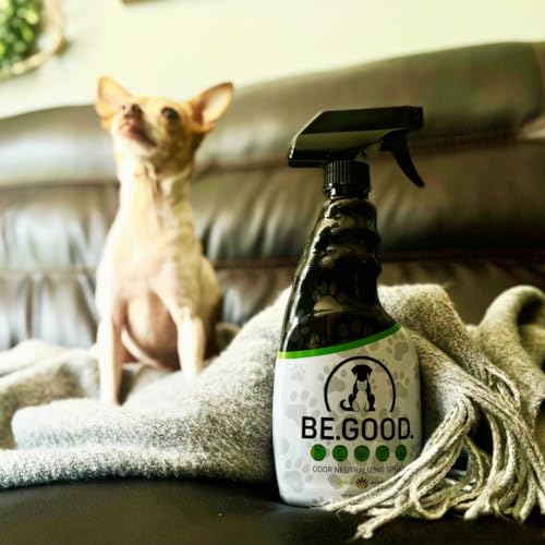 Pumpkin Spice Upholstery Odor Eliminator Spray 16oz