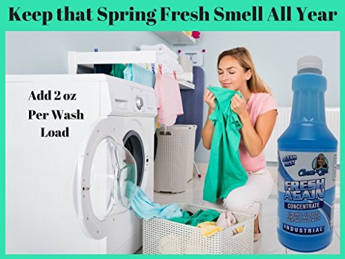 FRESH AGAIN Upholstery Odor Remover Concentrate 1 Quart