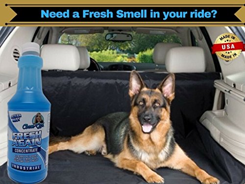 FRESH AGAIN Upholstery Odor Remover Concentrate 1 Quart