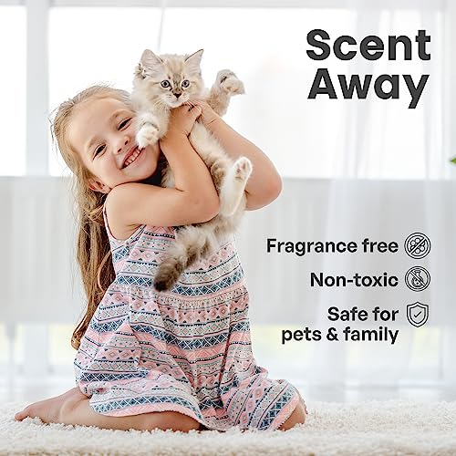 Fragrance-Free Cat Litter Odor Eliminator with Activated Carbon