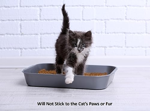 Coir Wonder Activated Charcoal Cat Litter Deodorizer