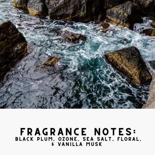 Noir Luxe Sea Salt & Ozone Upholstery Freshener