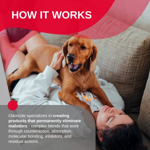 Odorcide Odor Eliminator Concentrate for Carpets & More