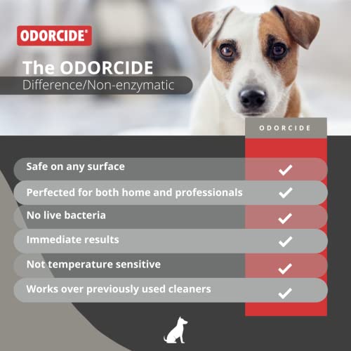 Odorcide Odor Eliminator Concentrate for Carpets & More