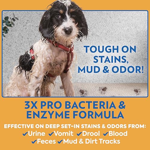 OUT! PetCare Oxy Stain & Odor Remover Spray