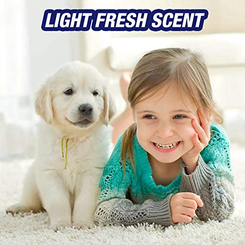 Ultra Pet Odor & Stain Remover Spray 32oz