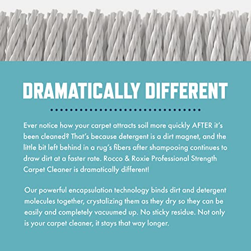 Pet Odor Carpet Cleaner – Deep Cleaning Solution