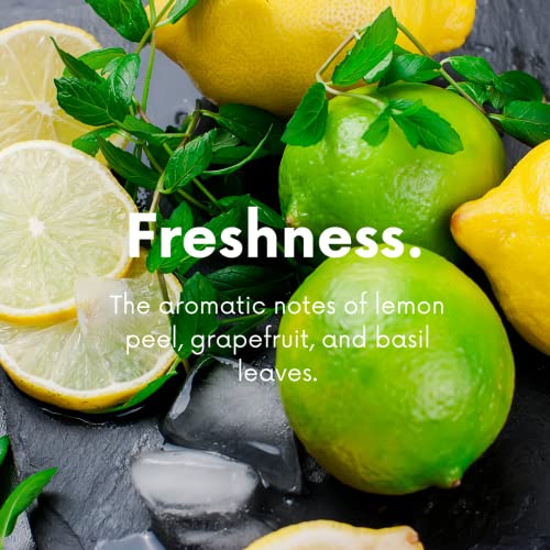 Citrus & Sage Natural Upholstery Deodorizer
