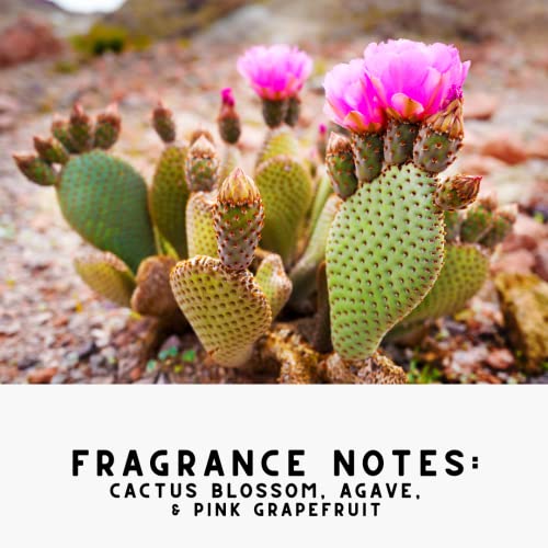 Cactus & Grapefruit Upholstery Deodorizer Mist