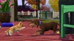 The Sims 3: Pets Expansion Pack Add-On