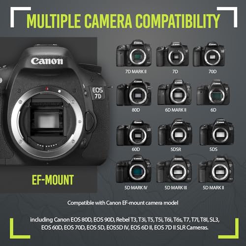 Canon Telephoto Zoom Lens 420-1600mm