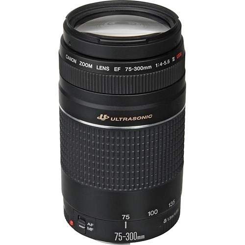 Canon Telephoto Zoom Lens for Canon SLR Cameras