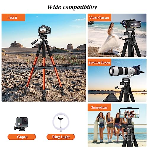Lightweight 74" Camera Tripod for DSLR/SLR