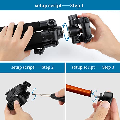 Lightweight 74" Camera Tripod for DSLR/SLR
