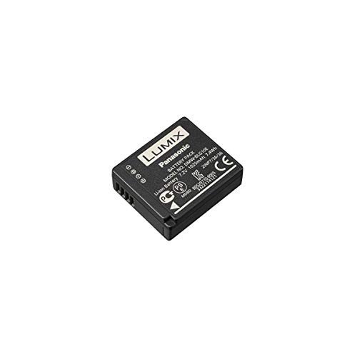 Panasonic DMW-BLG10 Lithium-Ion Battery Pack (Black)