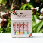 Hanalei Lip Balm and Moisturizer - Natural Kukui Oil, Beeswax Lip Moisturizer - Replenish and Repair Dry, Chapped Lips - Variety Pack (5 Tubes)