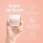 Hanalei Sugar Lip Scrub AND Kukui Oil Lip Treatment 15g Clear AND 5-Piece Tropical Lip Balm Set | Made with Hawaiian Botanicals | Cruelty-Free and Paraben-Free