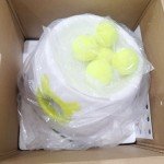 Automatic Ball Launcher with 5 Balls for Dogs