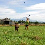 Medium 26-Inch Sport Ball Launcher for Dogs