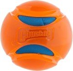 Chuckit! Hydrosqueeze Water-Soaking Dog Toy Ball