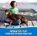 Chuckit! 2-Pack Sport 25M Dog Ball Launcher