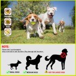 Automatic Dog Ball Launcher Toy with 6 Balls