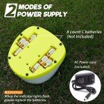 Automatic Ball Launcher with 5 Balls for Dogs