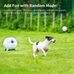 iRetriever Automatic Dog Ball Launcher with 3 Balls