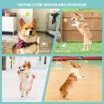 Automatic Dog Ball Launcher with Remote Control