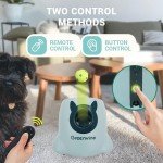 Automatic Dog Ball Launcher with Remote Control