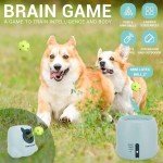 Automatic Dog Ball Launcher with Remote Control