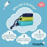 Lime Coachi Canvas Dog Training Dummy, Floats