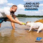 Interactive 2-in-1 Floating Dog Fetch Toy