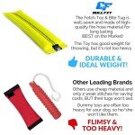 Interactive 2-in-1 Floating Dog Fetch Toy