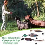 3-Pack Duck Dummy Training Toy for Dogs